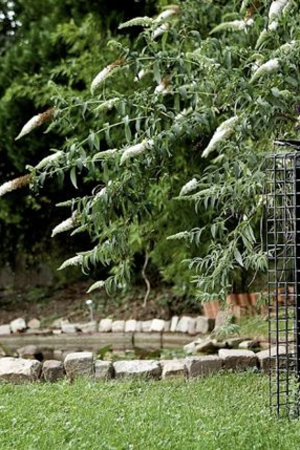 Der Villa Garten - im Dominastudio TBZ Esslingen